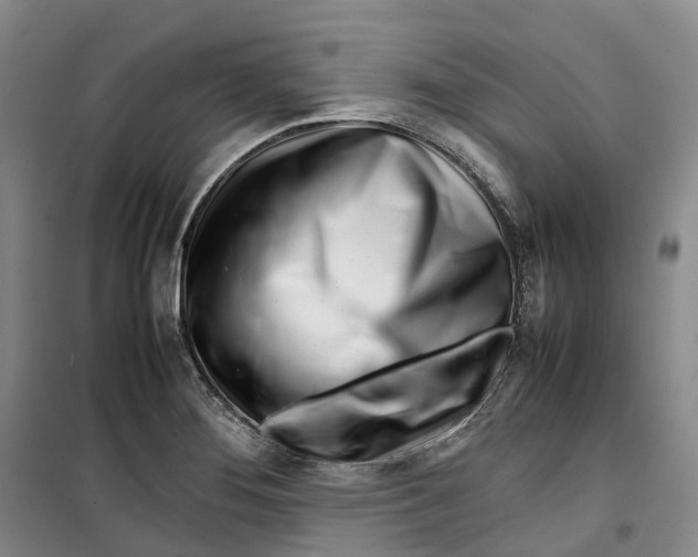 X0000099461276200805301526