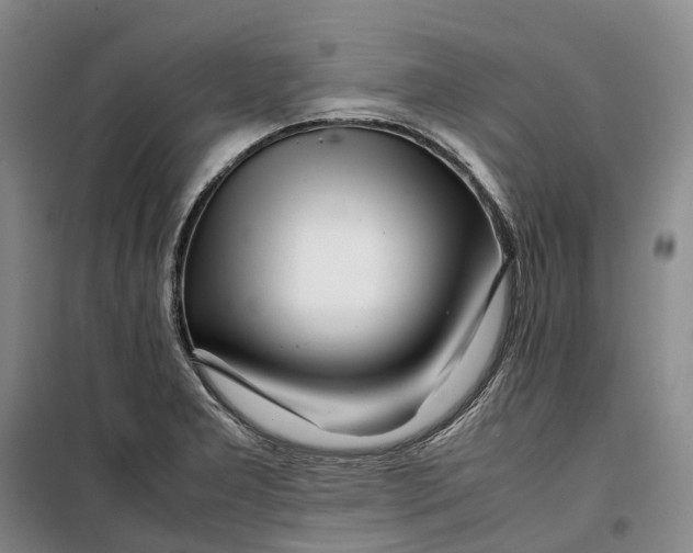 X0000099461277200805301526