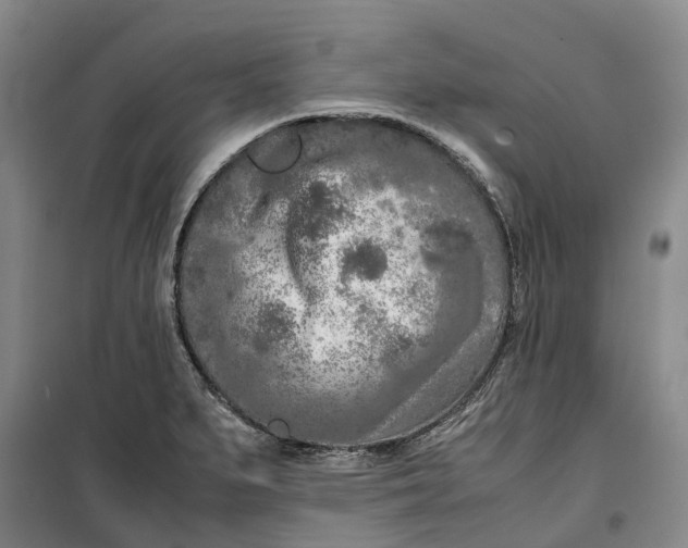 X0000099461279200805301526