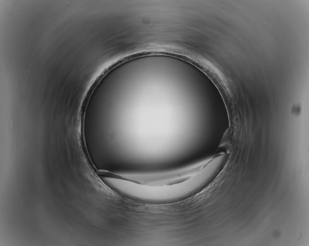 X0000099461280200805301526