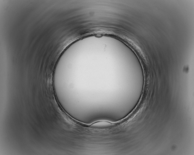 X0000099461281200805301526