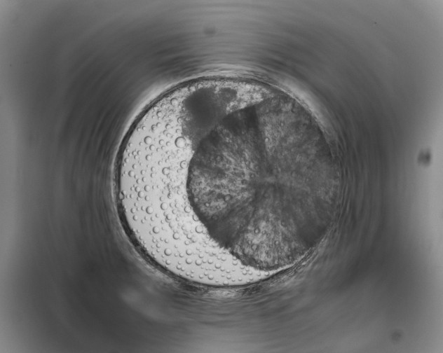 X0000099461283200805301526