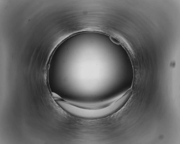 X0000099461284200805301526