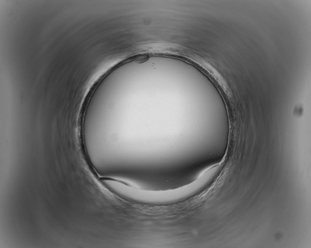 X0000099461285200805301526