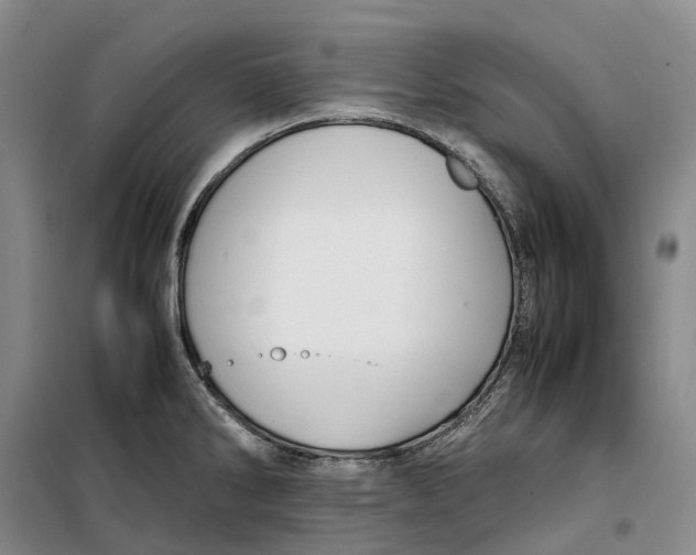 X0000099461286200805301526