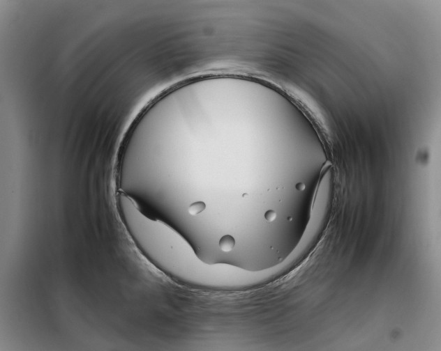 X0000099461288200805301526