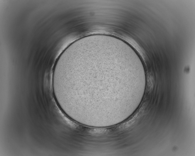 X0000099461290200805301526