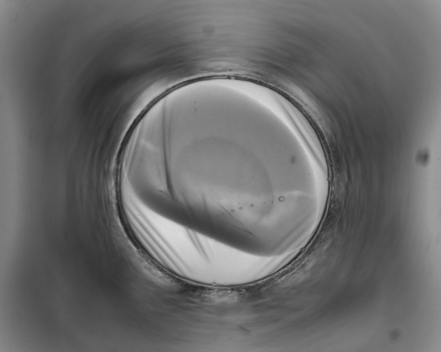 X0000099461291200805301526