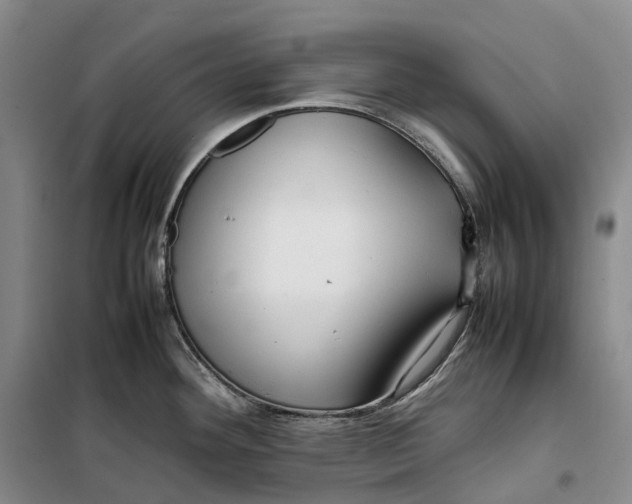 X0000099461292200805301526