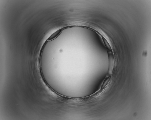 X0000099461293200805301526