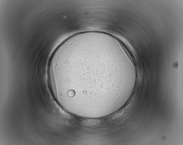 X0000099461294200805301526