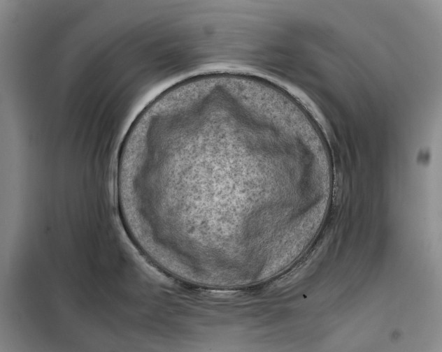 X0000099461295200805301526