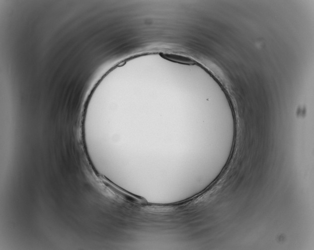 X0000099461296200805301526