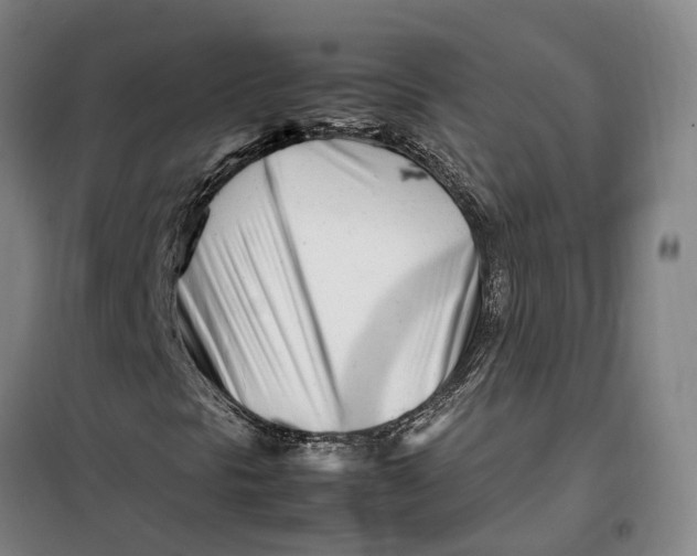 X0000099461297200805301526