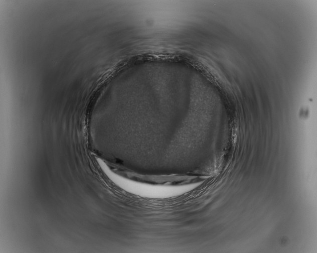 X0000099461298200805301526