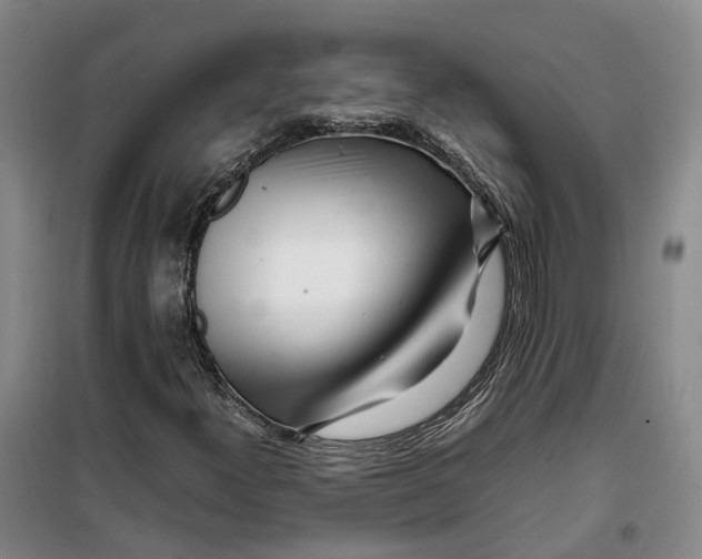 X0000099461300200805301526