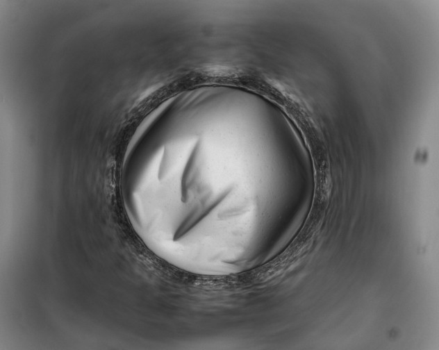 X0000099461301200805301526