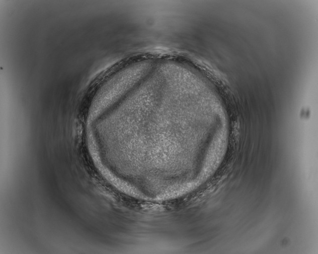 X0000099461302200805301526