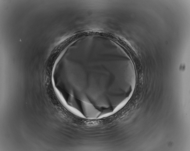 X0000099461303200805301526