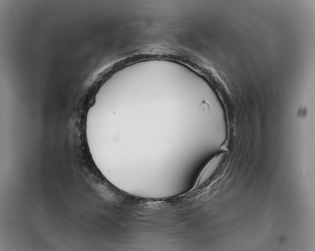 X0000099461304200805301526