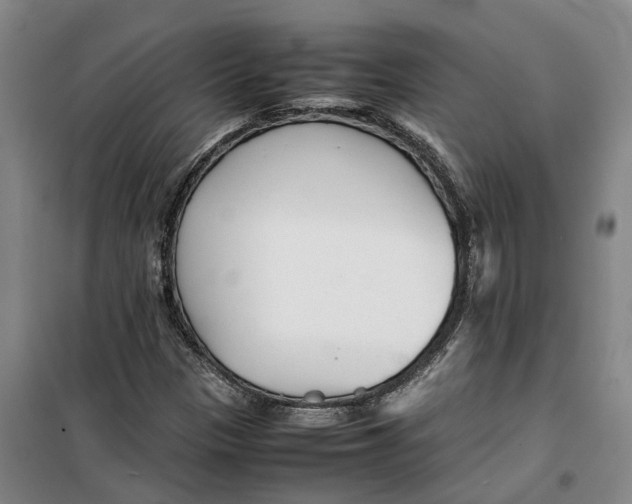 X0000099461305200805301526