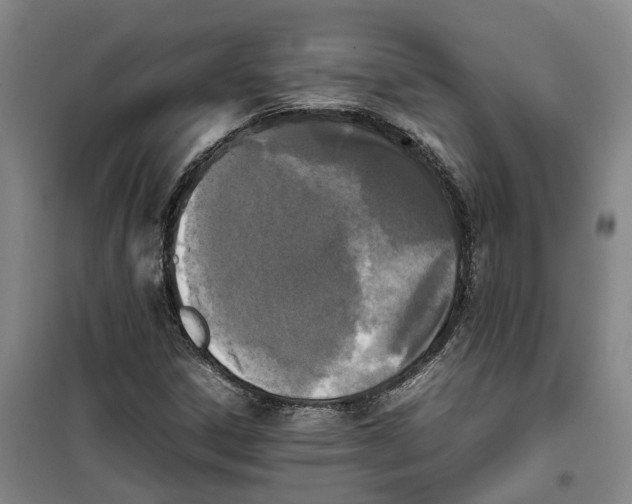 X0000099461306200805301526