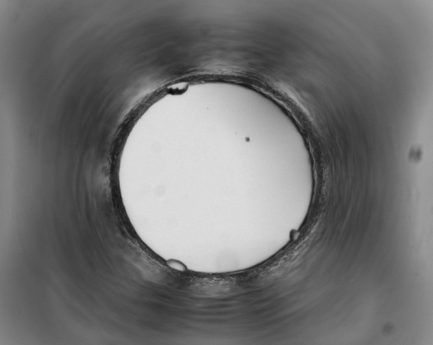 X0000099461307200805301526