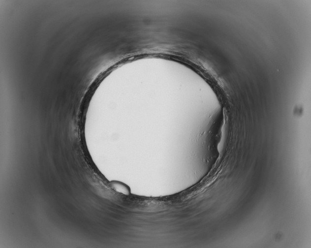 X0000099461308200805301526