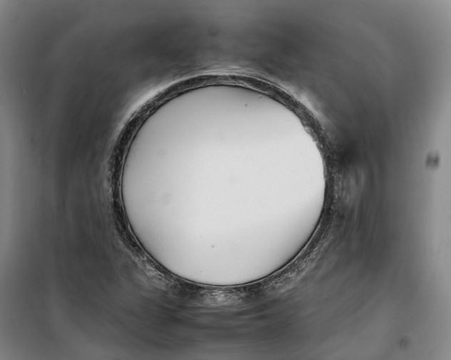 X0000099461311200805301526