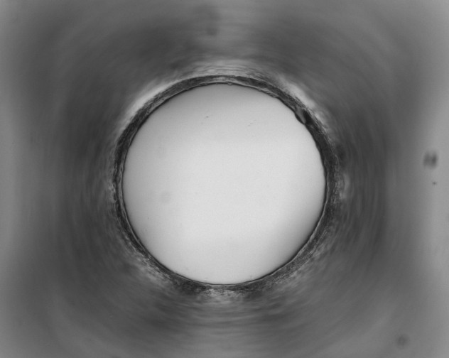 X0000099461312200805301526