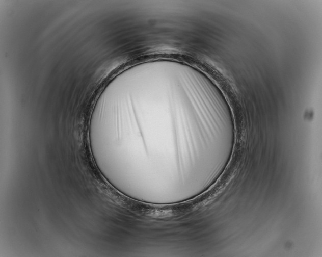 X0000099461313200805301526