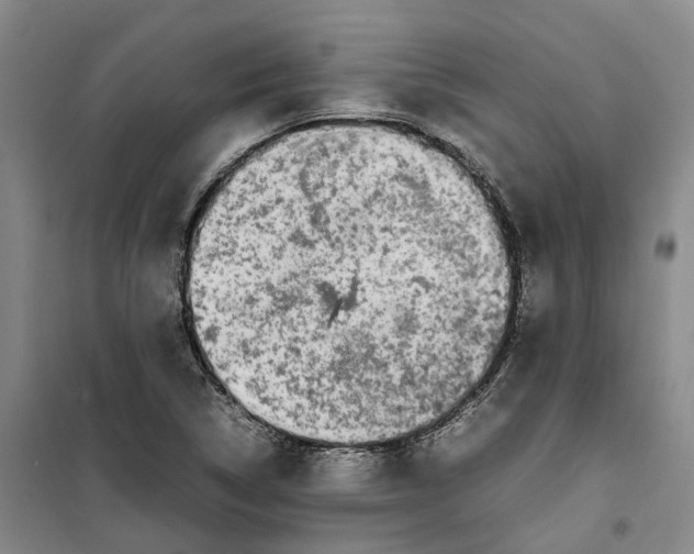 X0000099461314200805301526