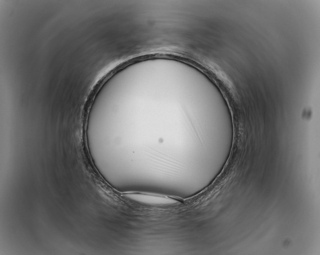 X0000099461316200805301526