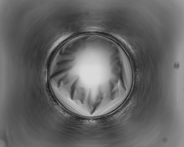 X0000099461317200805301526