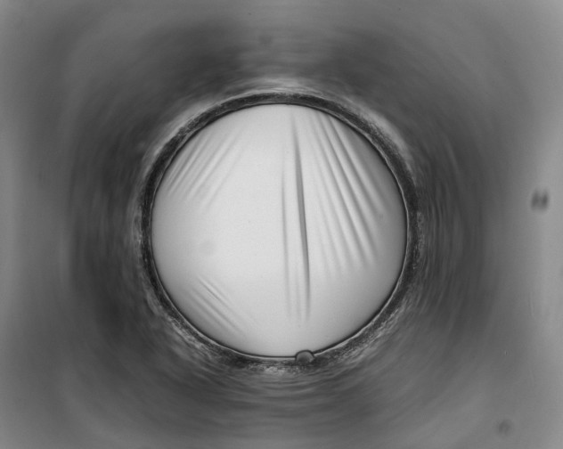 X0000099461318200805301526