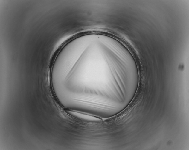 X0000099461320200805301526