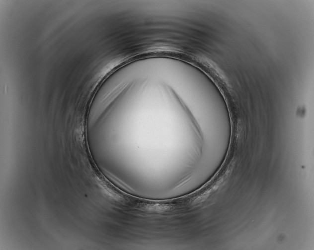 X0000099461321200805301526