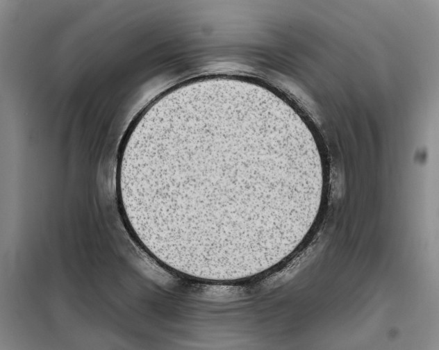 X0000099461322200805301526