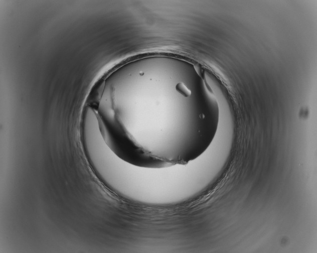 X0000099461324200805301526