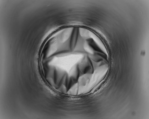 X0000099461325200805301526