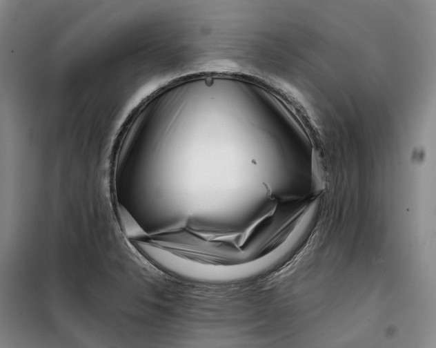 X0000099461326200805301526