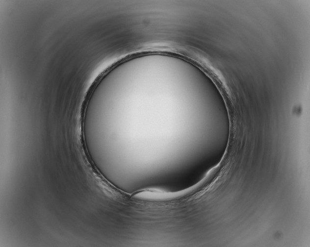 X0000099461328200805301526