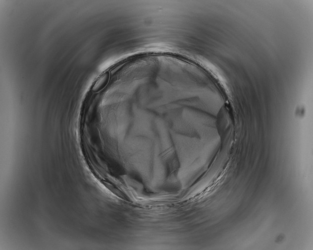 X0000099461334200805301526