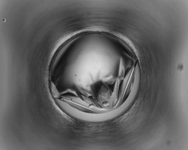 X0000099461335200805301526