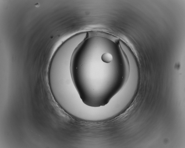 X0000099461336200805301526