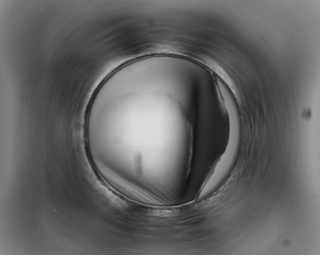 X0000099461339200805301526