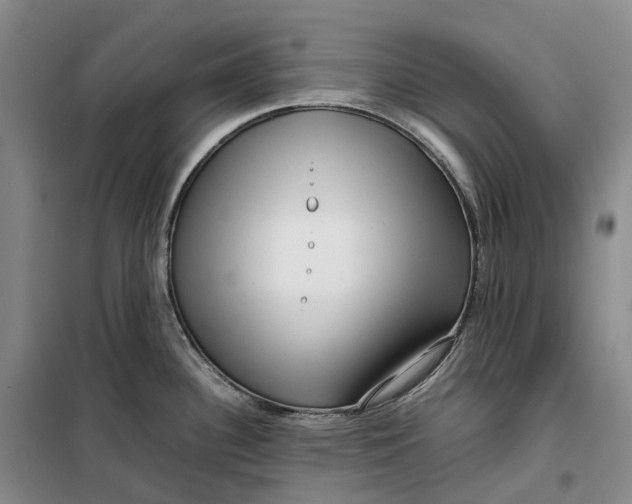 X0000099461340200805301526