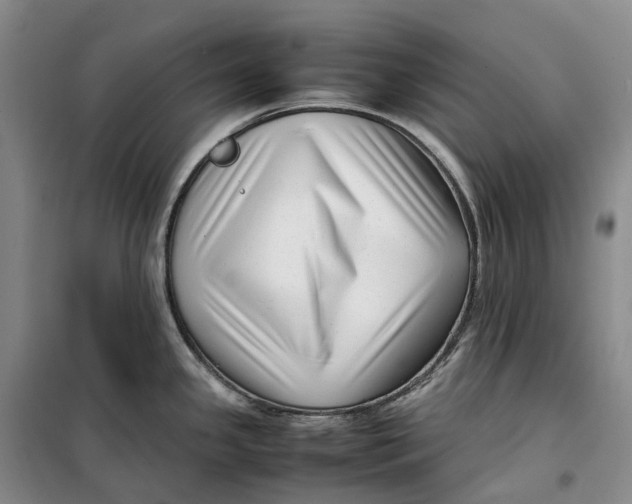 X0000099461341200805301526