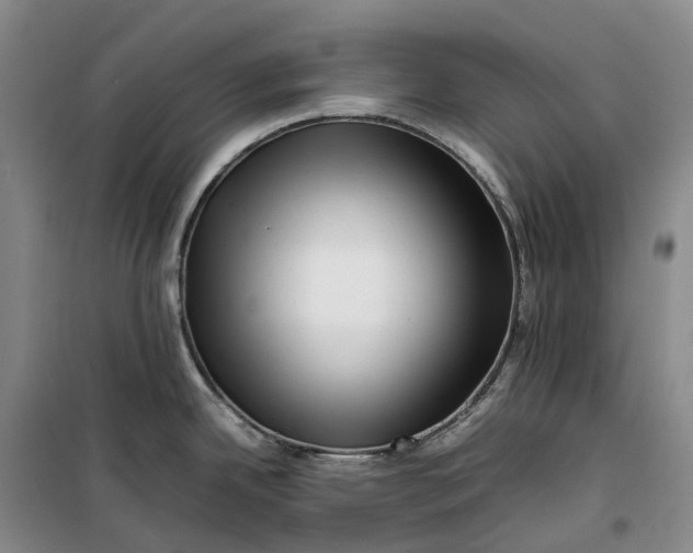 X0000099461342200805301526