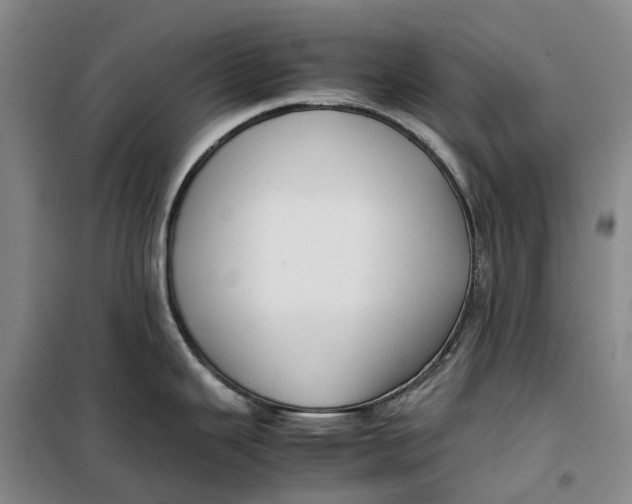 X0000099461343200805301526